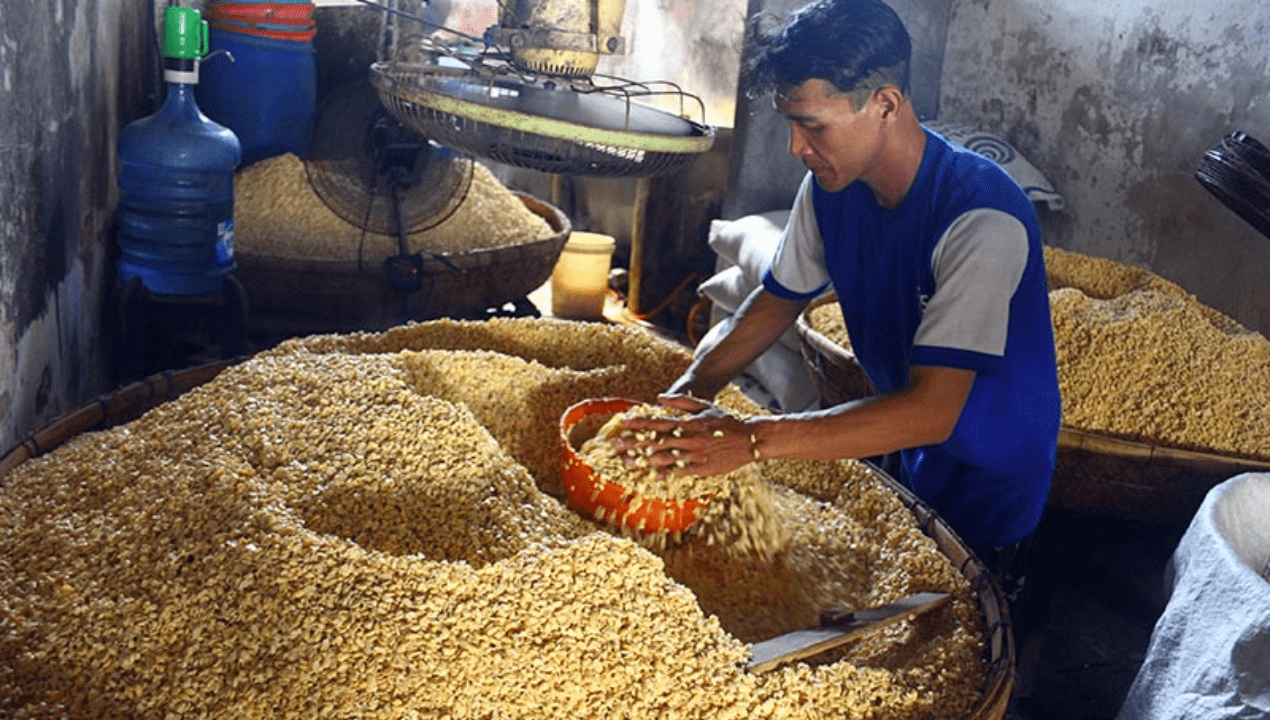 Harga Kedelai Lokal 2025